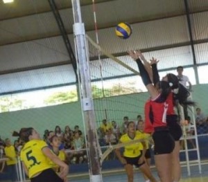 thumb (40)